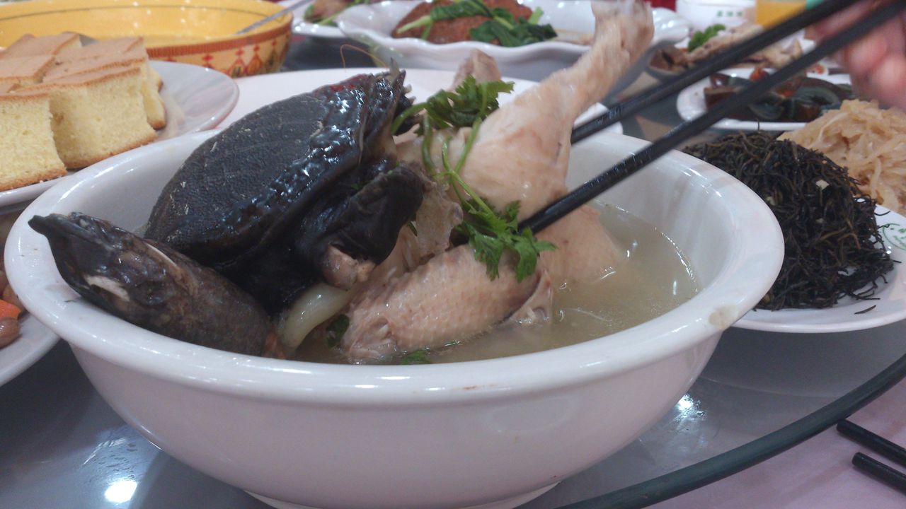 甲魚鵪鶉湯