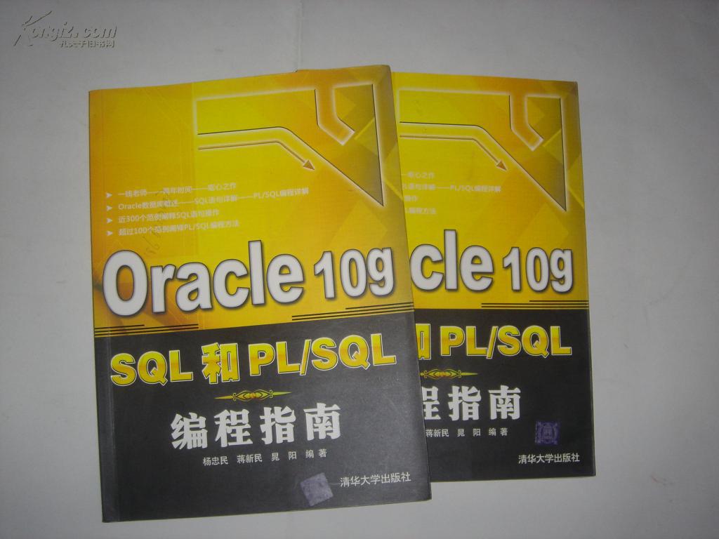 Oracle10gSQL和PL/SQL編程指南