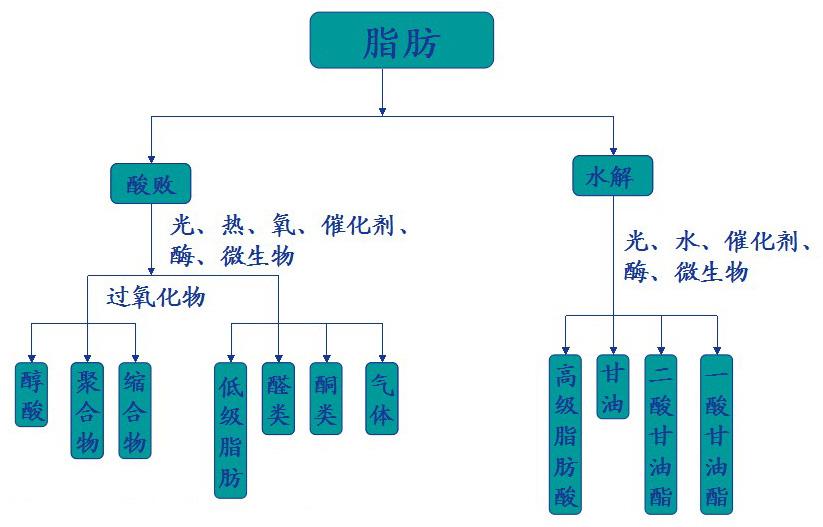 中性脂肪