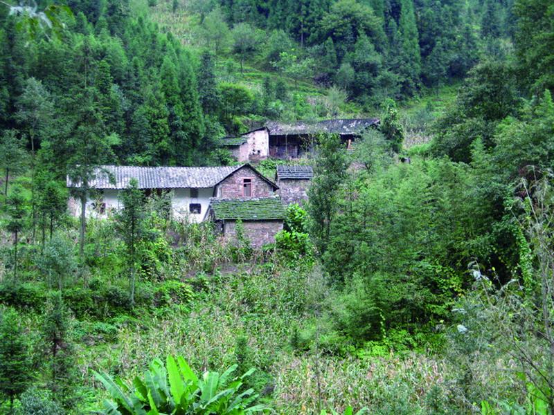 茶園溝自然村(雲南省威信縣麟鳳鄉柏香村茶園溝自然村)