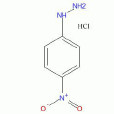 4-硝基苯肼鹽酸鹽