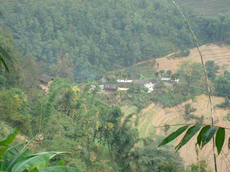 丙茂村(雲南省雲縣忙懷彝族布朗族鄉丙茂村)