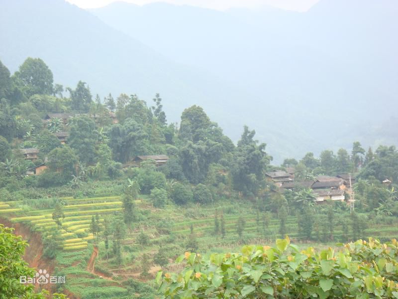 新堡寨村(雲南省文山州馬關縣夾寒箐鎮新堡寨村)