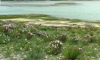 常德市西洞庭湖青山湖國家城市濕地公園