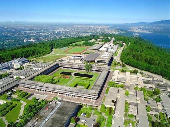 西蒙菲莎大學國際學院