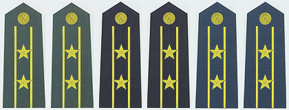 陸海空軍中校常服肩章(2007-)