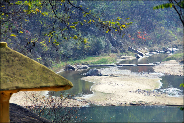 黑松林景區