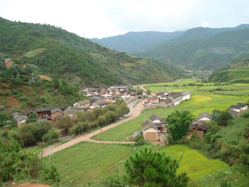 田心村(雲南楚雄市大過口鄉西康郎村委會)