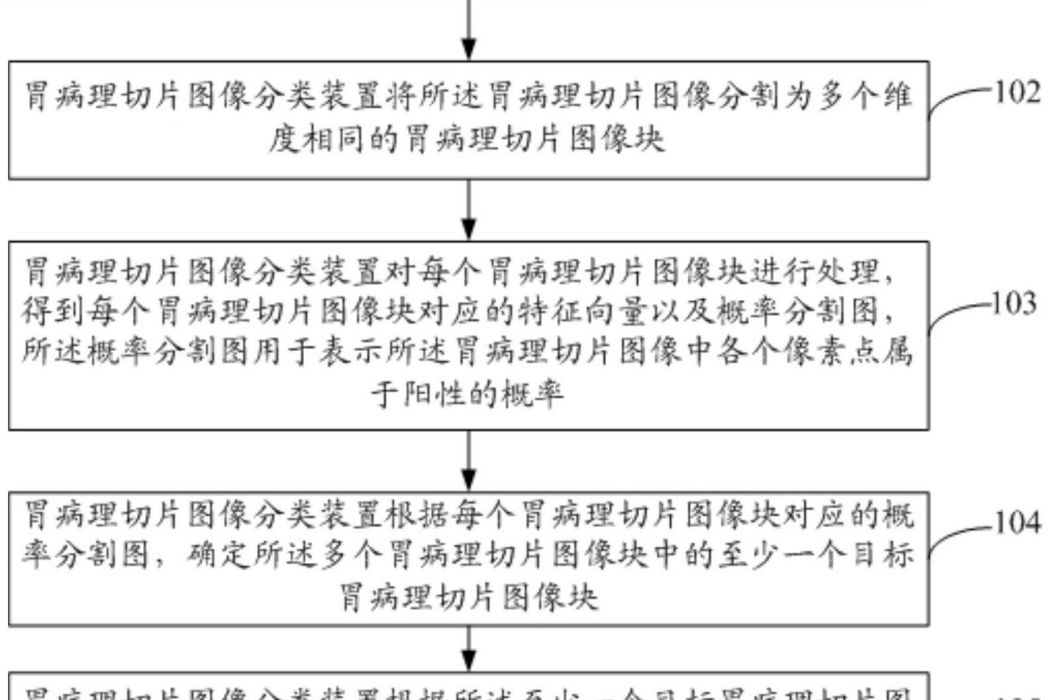 胃病理切片圖像分類方法、裝置及存儲介質