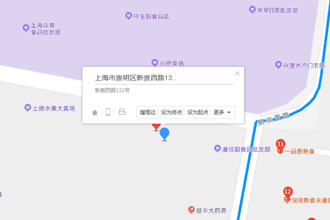 新崇西路132號