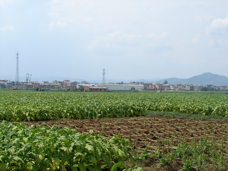 老河咀村