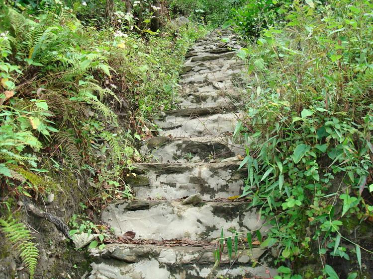 珠利當村進村道路