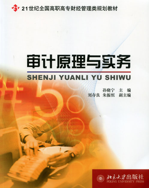 審計原理與實務(2008年化學工業出版社出版圖書)