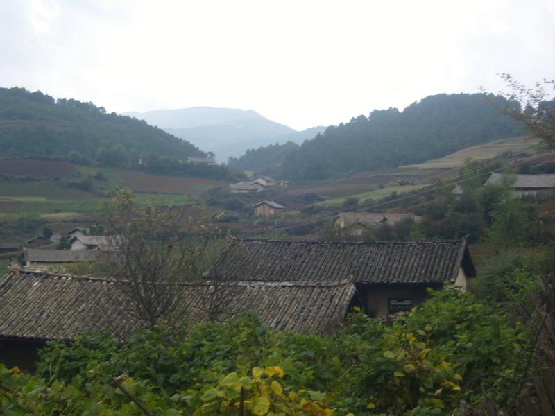 秤桿自然村(雲南東川區湯丹鎮姑莊行政村下轄村)