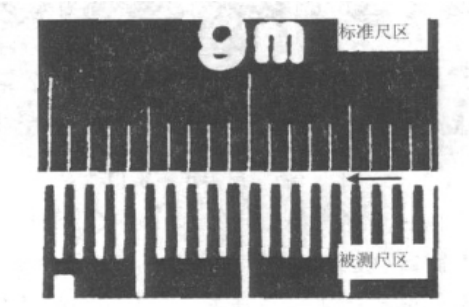 圖4 分區法二值化圖像