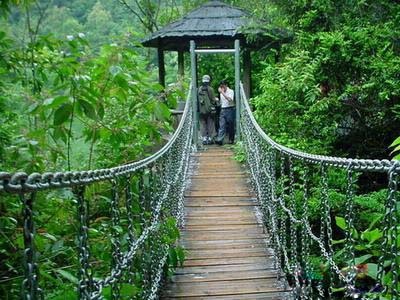 桂山原始森林風景區