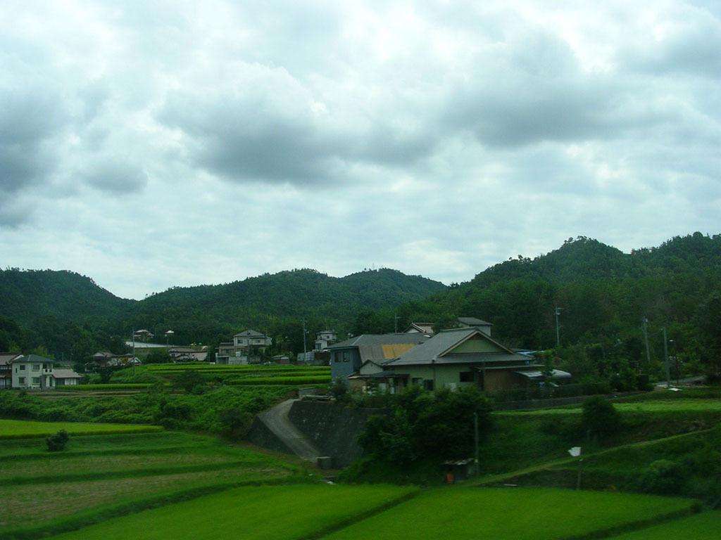 灣塘村(雲南省紅河建水縣面甸鎮灣塘村)