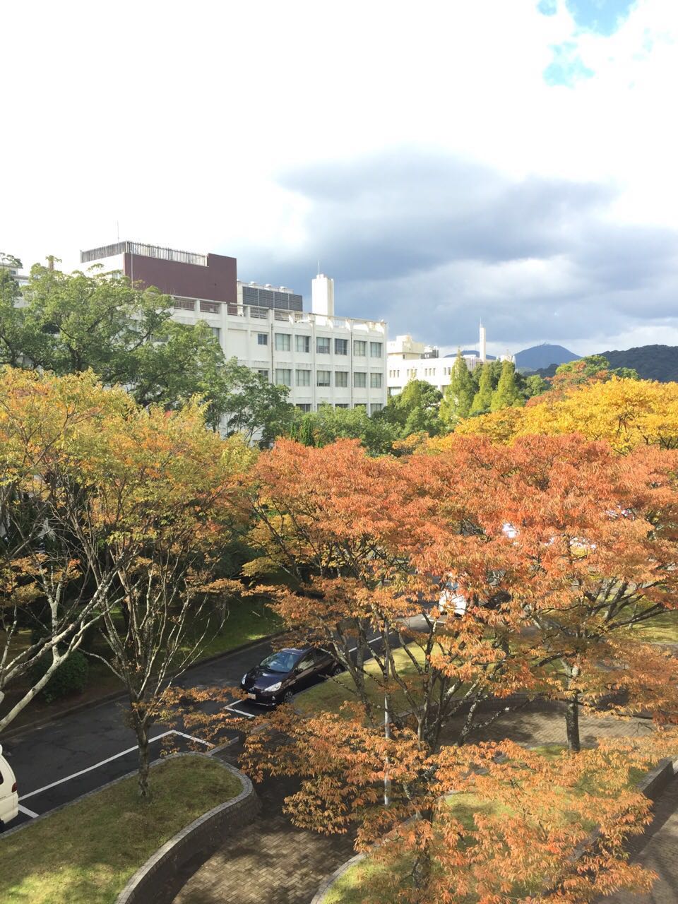 北九州市立大學(北九州大學)