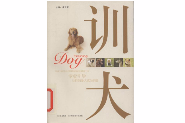 訓犬=Training dog