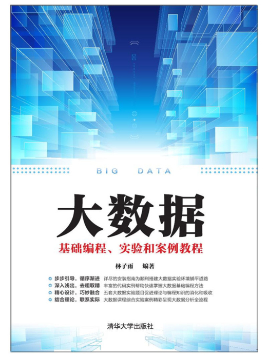 大數據基礎編程、實驗和案例教程(2017年清華大學出版社出版的圖書)