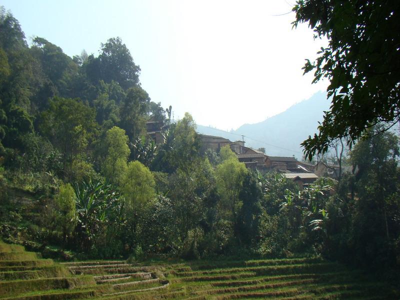 村中山林耕地