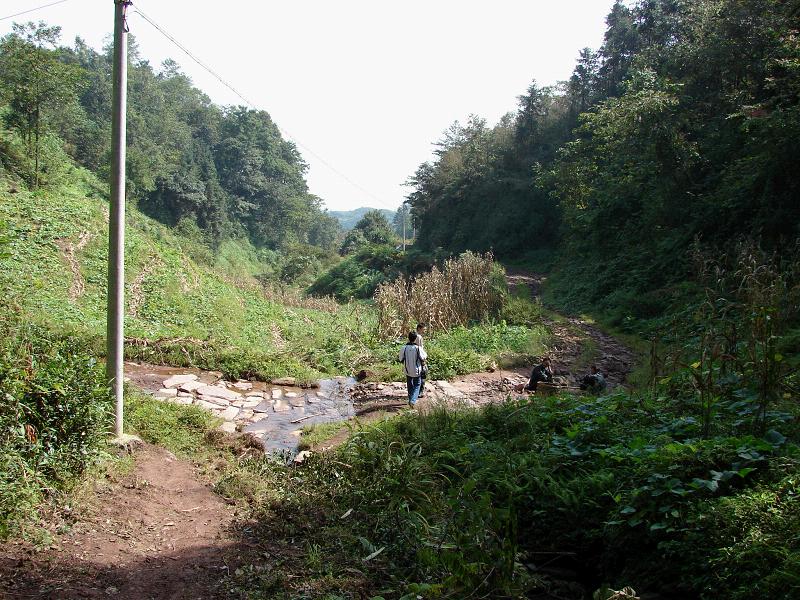 進村道路