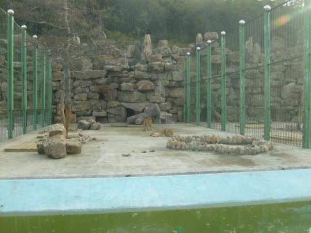 本溪市動物園