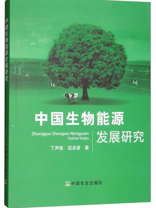 中國生物能源發展研究