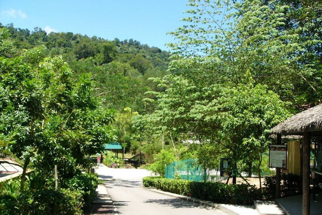 洛高宜野生動物園