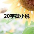 20字微小說