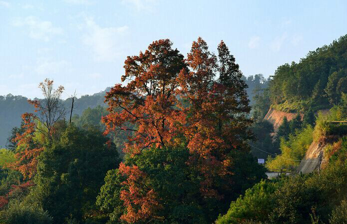 紅山鄉(福建省長汀縣紅山鄉)