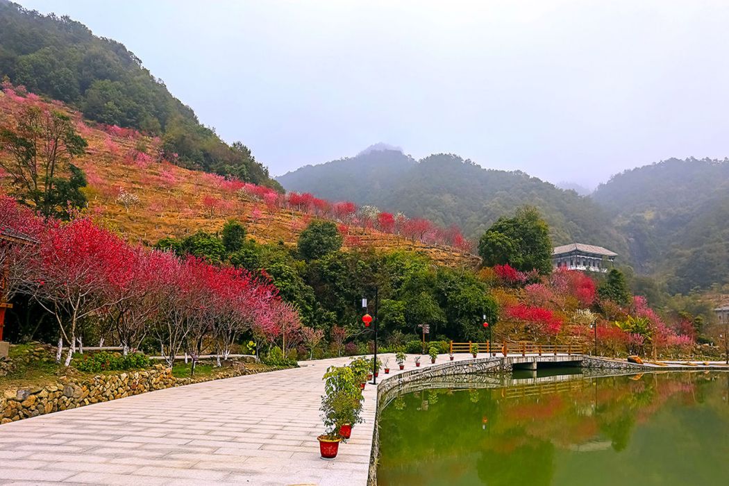 四川紅泉桃花谷國際鄉村旅遊景區