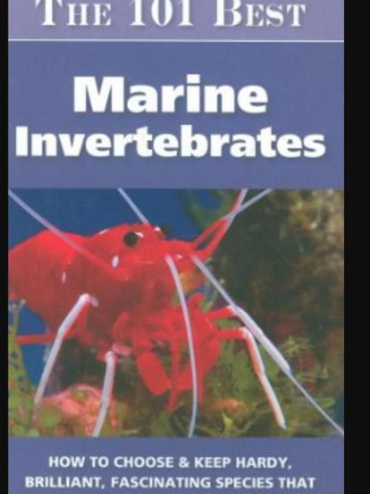 The 101 Best Marine Invertebrates