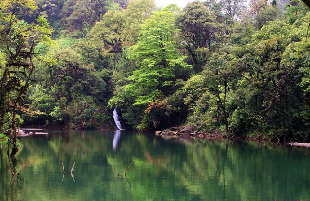 龍蒼溝森林公園