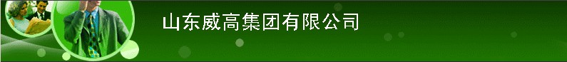 山東威高集團有限公司