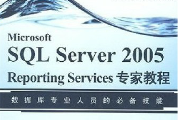 Microsoft SQL Server 2005 Reporting Services專家教程