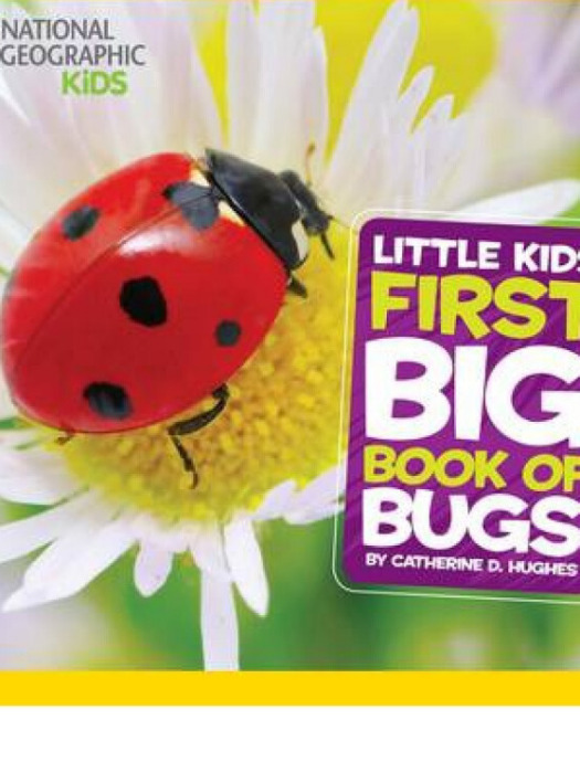 National Geographic Little Kids First Big Book of Bugs