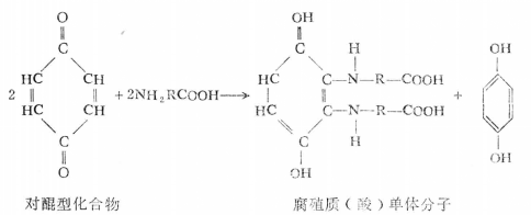 縮合