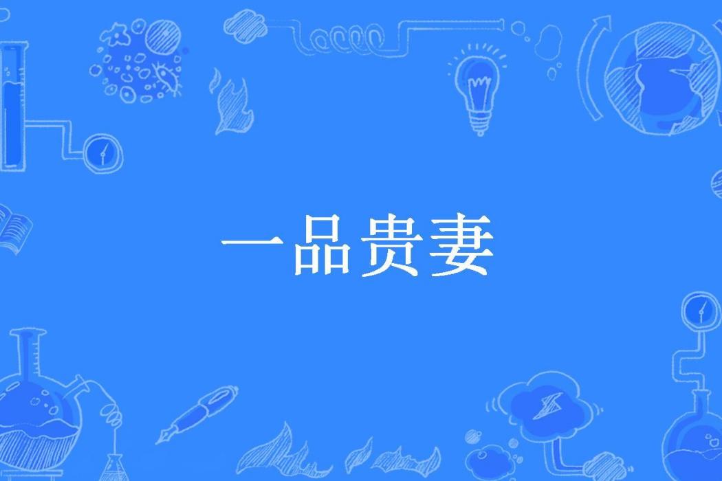 一品貴妻(昭媛夫人所著小說)