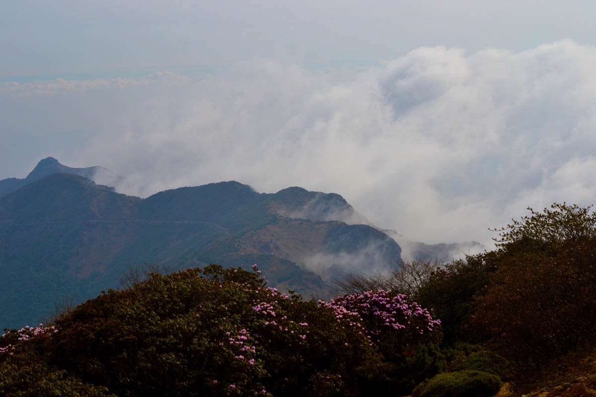 龍肘山