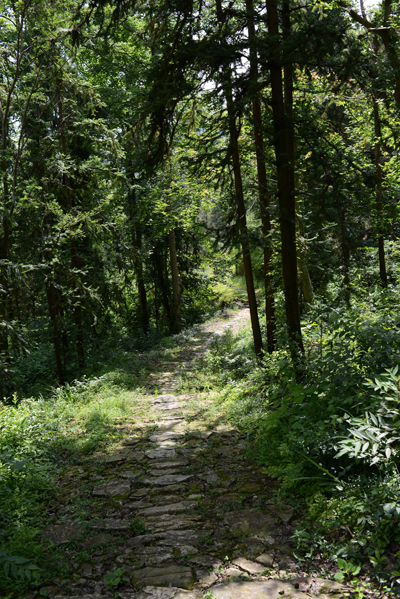 樂清盤山古道