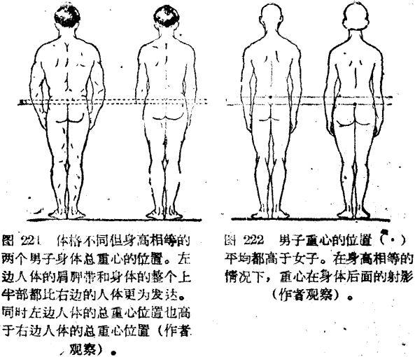 兩髂嵴點間寬