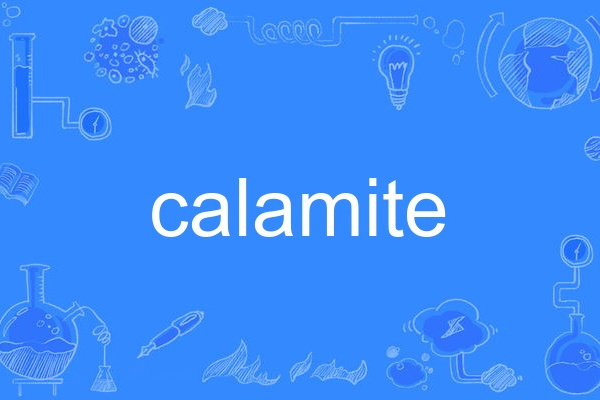 calamite