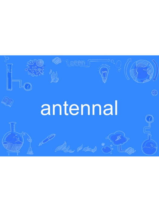 antennal