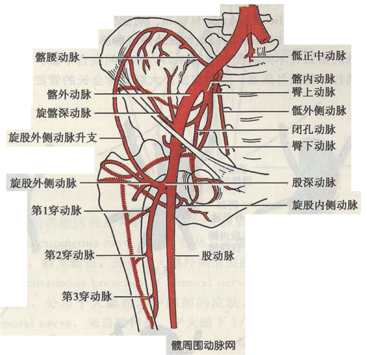 十字吻合