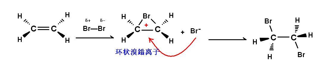 乙烯與溴親電加成（環狀鎓離子歷程）