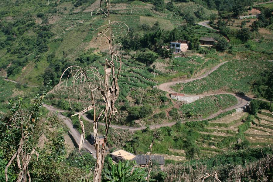 鄉村道路