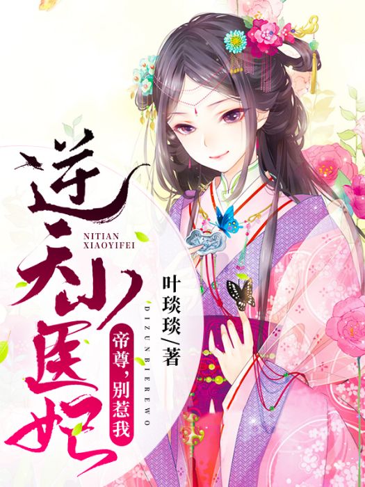 逆天小醫妃(葉琰琰創作的網路小說)