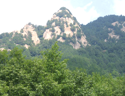 大楊山自然風景區