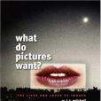 What Do Pictures Want?(2006年University of Chicago Press出版的圖書)